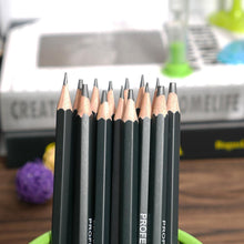 Load image into Gallery viewer, Best Quality 14pcs/set 12B 10B 8B 7B 6B 5B 4B 3B 2B B HB 2H 4H 6H Graphite Sketching Pencils Professional Pencil Set for Drawing
